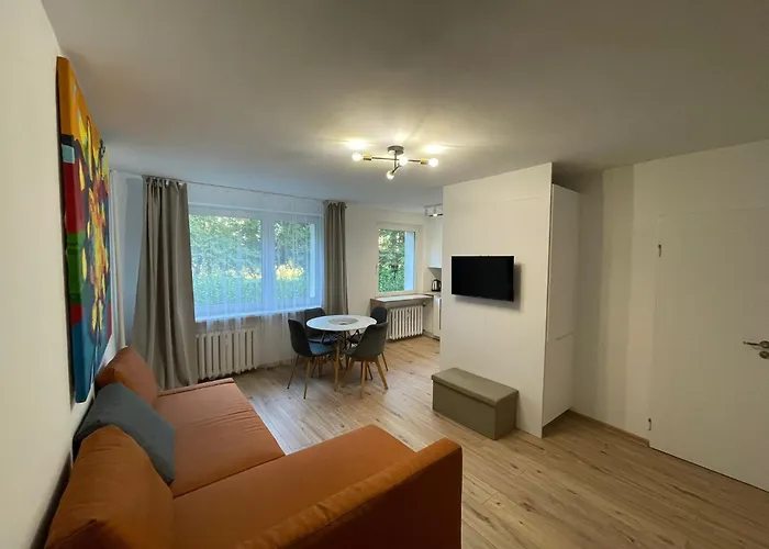 아파트 Apartament Zwyciestwa 20 - Winogrady 포즈난