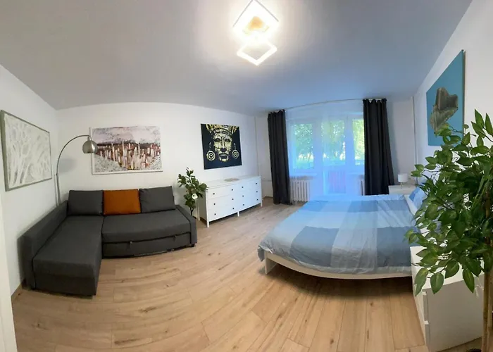 Apartament Zwyciestwa 20 - Winogrady 포즈난