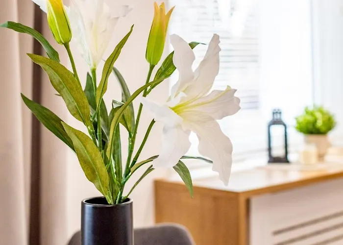 Apartament Zwyciestwa 20 - Winogrady 아파트